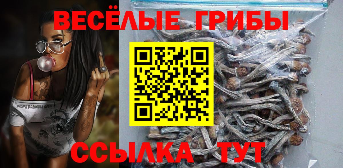 Галлюциногенные грибы GOLDEN TEACHER Ртищево