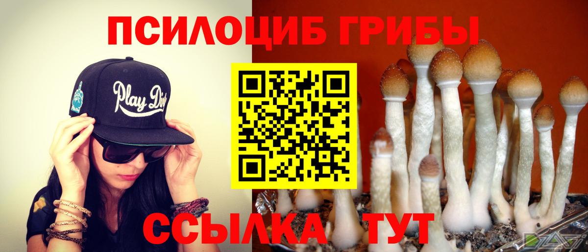 Псилоцибиновые грибы мухоморы  Вход с VPN  Галлюциногенные грибы Magic Shrooms  Ртищево 